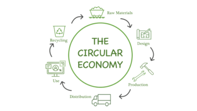 Circular Economy: Build A Sustainable World For All - The Green Vibe