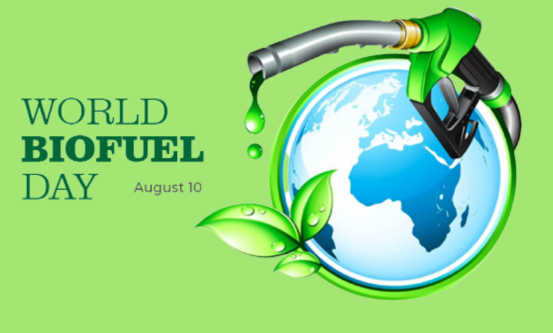 World biofuel day